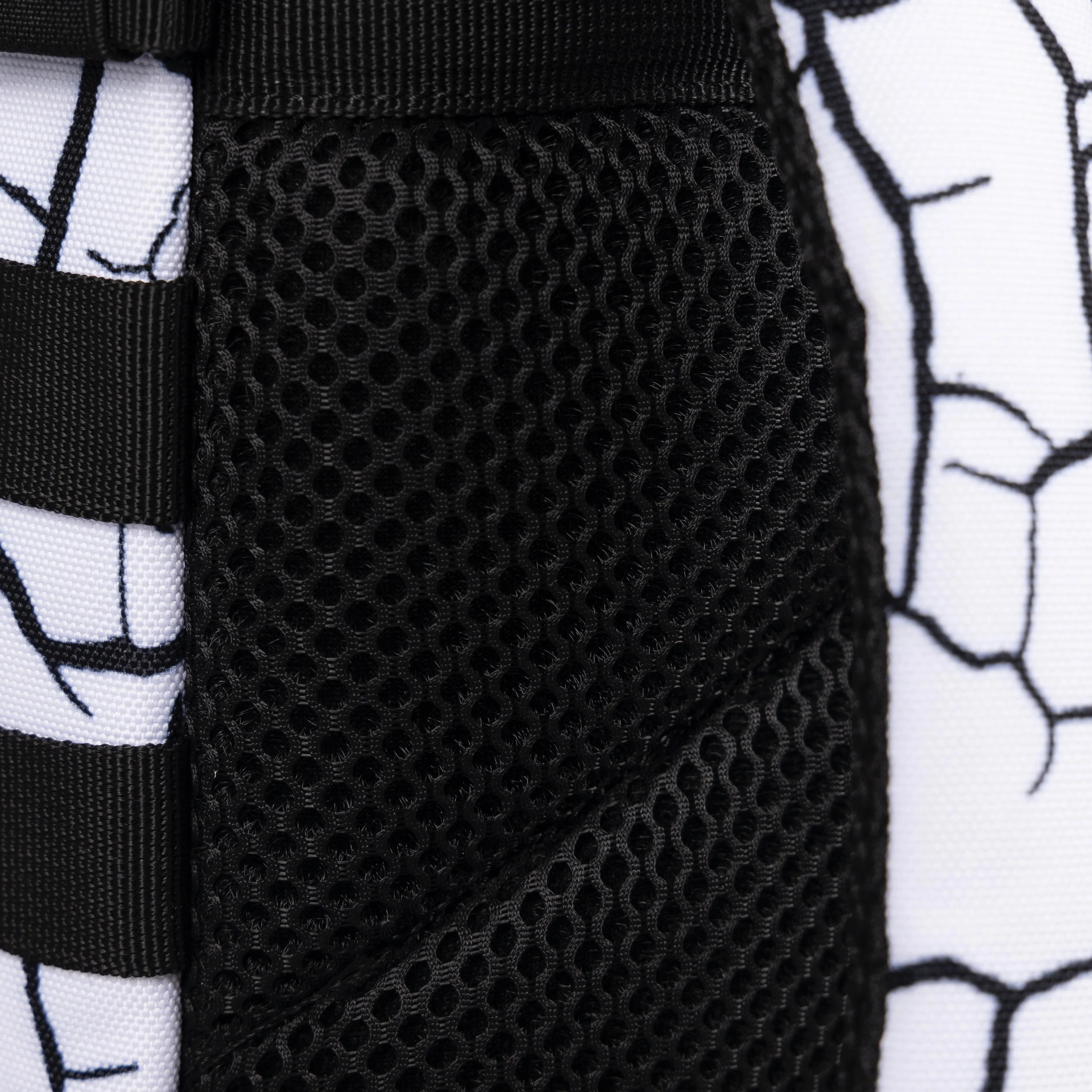 9L Backpack Mini Part 2: The Reign (SALE)