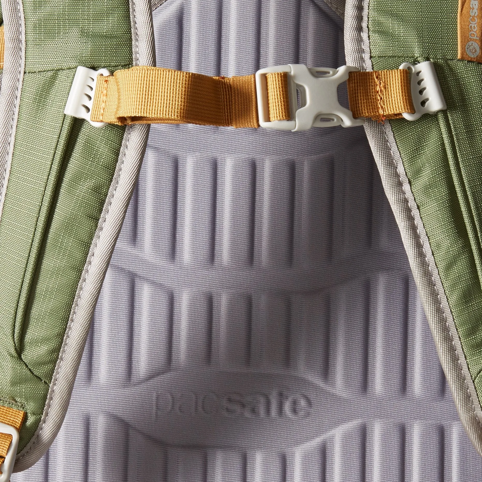 Pacsafe Venturesafe 45L GII