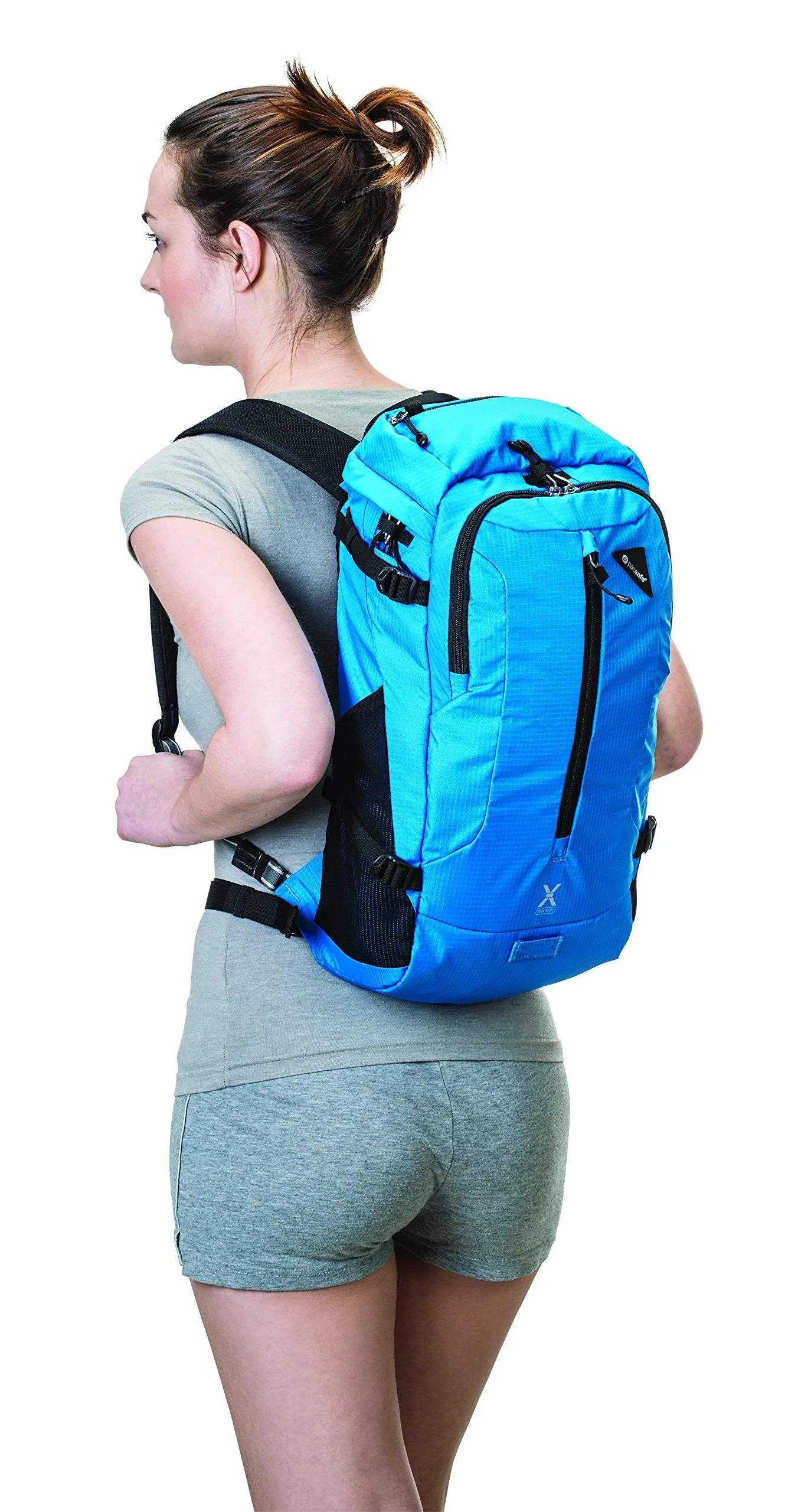 Pacsafe Venturesafe X22