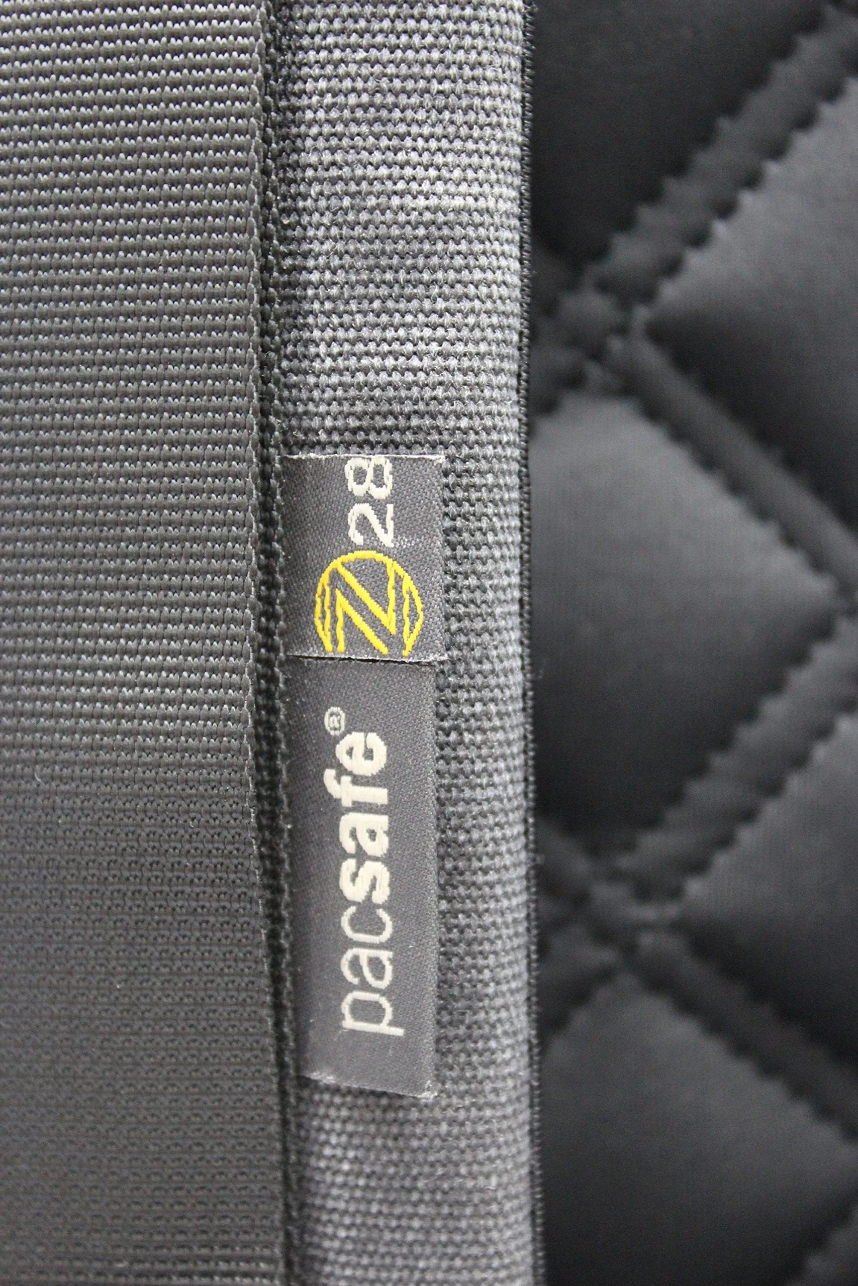 Pacsafe Z-28 Backpack